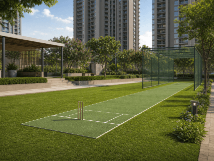 Cricket pitch